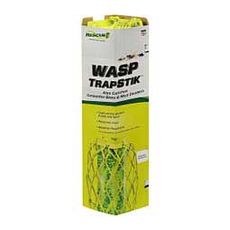 Wasp TrapStik  Sterling International